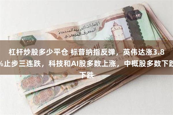 杠杆炒股多少平仓 标普纳指反弹，英伟达涨3.8%止步三连跌，科技和AI股多数上涨，中概股多数下跌