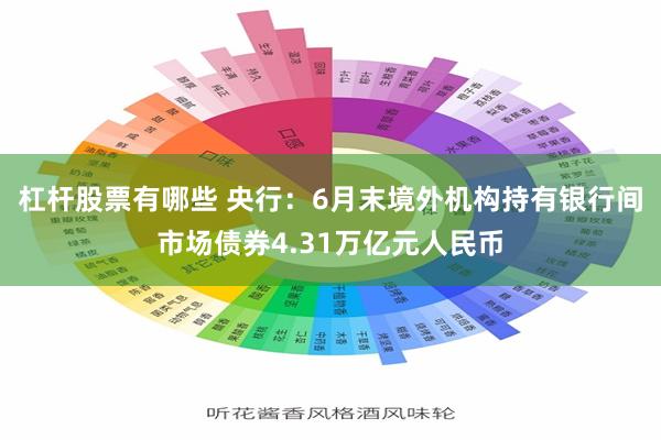 杠杆股票有哪些 央行：6月末境外机构持有银行间市场债券4.31万亿元人民币