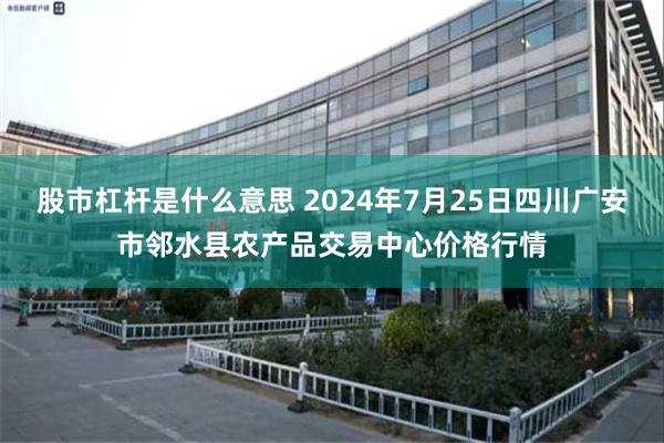 股市杠杆是什么意思 2024年7月25日四川广安市邻水县农产品交易中心价格行情