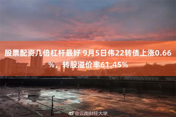 股票配资几倍杠杆最好 9月5日伟22转债上涨0.66%，转股溢价率61.45%