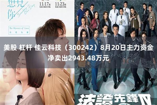 美股 杠杆 佳云科技（300242）8月20日主力资金净卖出2943.48万元