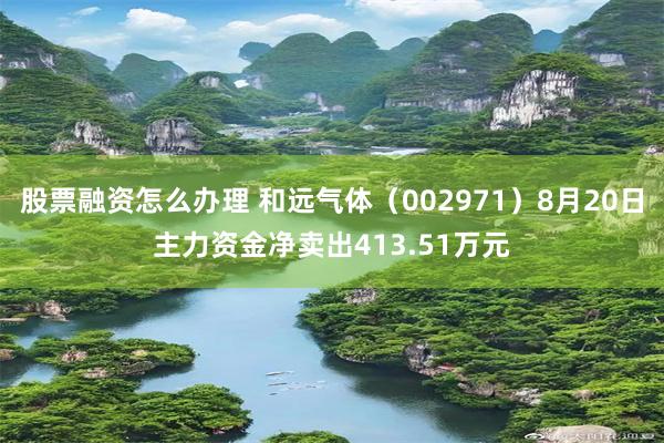 股票融资怎么办理 和远气体（002971）8月20日主力资金净卖出413.51万元