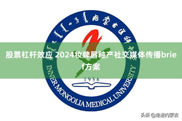 股票杠杆效应 2024妆牌唇釉产社交媒体传播brief方案