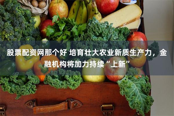 股票配资网那个好 培育壮大农业新质生产力，金融机构将加力持续“上新”