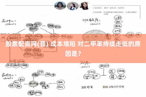 股票配资网(晋) 成本塌陷 对二甲苯持续走低的原因是？