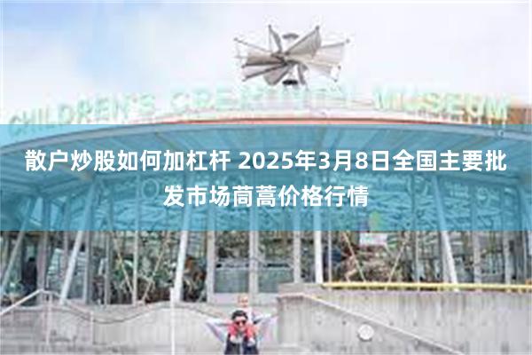 散户炒股如何加杠杆 2025年3月8日全国主要批发市场茼蒿价格行情