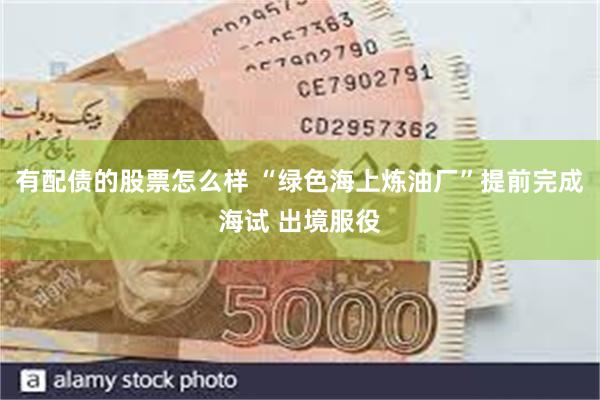 有配债的股票怎么样 “绿色海上炼油厂”提前完成海试 出境服役